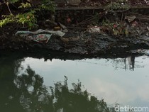 Usai Bangunan Dibongkar, Warga Minta Sungai Sukalila Cirebon Segera Dikeruk