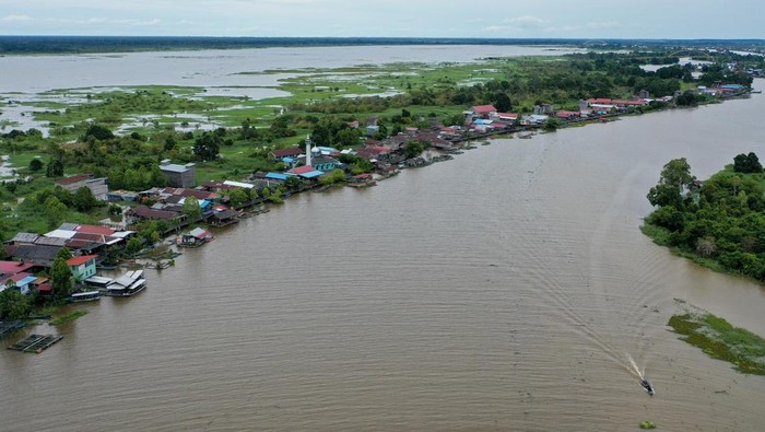 Seekor Pesut Mahakam (Orcaella brevirostris) berenang di Desa Wisata Pela di Kutai Kartanegara, Kalimantan Timur, Minggu (4/1/2026). Desa yang dikembangkan sebagai destinasi Green Tourism dan berkelanjutan itu juga menawarkan wisata konservasi Pesut Mahakam yakni mamalia sejenis lumba-lumba yang termasuk hewan dilindungi yang populasinya sekitar 60 ekor. ANTARA FOTO/M Risyal Hidayat