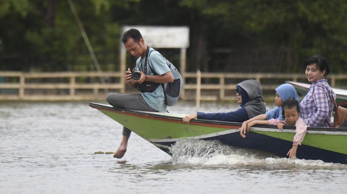 Seekor Pesut Mahakam (Orcaella brevirostris) berenang di Desa Wisata Pela di Kutai Kartanegara, Kalimantan Timur, Minggu (4/1/2026). Desa yang dikembangkan sebagai destinasi Green Tourism dan berkelanjutan itu juga menawarkan wisata konservasi Pesut Mahakam yakni mamalia sejenis lumba-lumba yang termasuk hewan dilindungi yang populasinya sekitar 60 ekor. ANTARA FOTO/M Risyal Hidayat