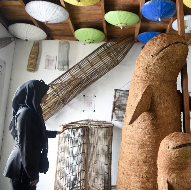 Pesut Mahakam Jadi Daya Tarik Wisata Desa Pela