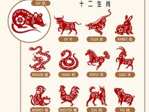 Ramalan Shio Hari Ini 28 Januari 2026, Cek Keberuntunganmu di Sini!