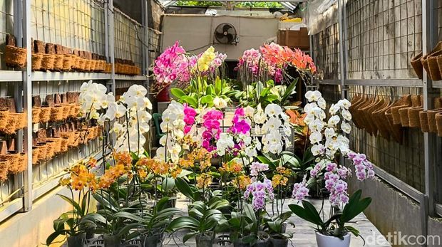 Salah satu kios penjual bunga di Taman Cibeunying