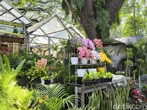 Semerbak Bunga dan Warisan Hijau di Tengah Kota Bandung