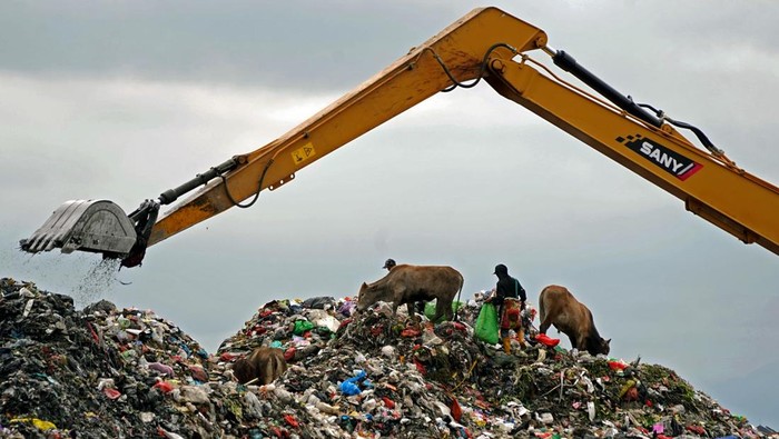 Pemulung memilah sampah di area Tempat Pembuangan Akhir (TPA) Antang, Makassar, Sulawesi Selatan, Senin (5/1/2026). Pemerintah Kota Makassar melalui Dinas Lingkungan Hidup (DLH) membebaskan 20 bidang lahan warga seluas sekitar 2,8 hektare untuk penataan dan pelancaran akses keluar-masuk armada bongkar muat sampah dalam rangka perluasan Tempat Pembuangan Akhir (TPA) Antang Tamangapa sebagai langkah strategis penanganan darurat sampah. ANTARA FOTO/Hasrul Said