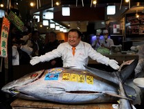 5 Fakta Sehat Mie Instan hingga Lelang Tuna Sirip Biru Cetak Rekor