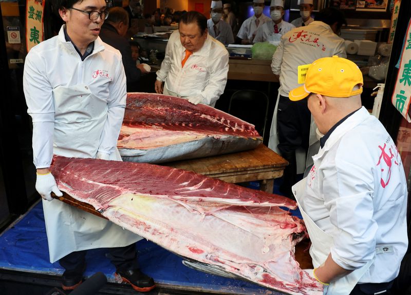 A 243-kilogram bluefin tuna auctioned for a record 510 million yen ($3.24 million) at the first auction of 2026 at Tokyo's Toyosu fish market, is displayed at Kiyomura Co.'s sushi restaurant Sushi Zanmai, in Tokyo, Japan, January 5, 2026. REUTERS/Kim Kyung-Hoon