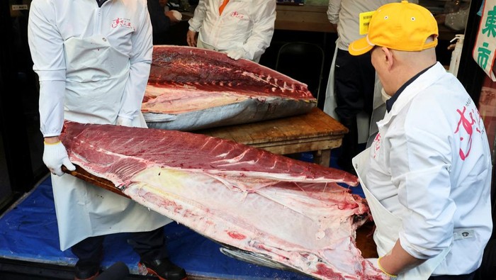 Tuna Sirip Biru Cetak Rekor Harga di Lelang Awal Tahun Tokyo A 243-kilogram bluefin tuna auctioned for a record 510 million yen ($3.24 million) at the first auction of 2026 at Tokyo's Toyosu fish market, is displayed at Kiyomura Co.'s sushi restaurant Sushi Zanmai, in Tokyo, Japan, January 5, 2026. REUTERS/Kim Kyung-Hoon