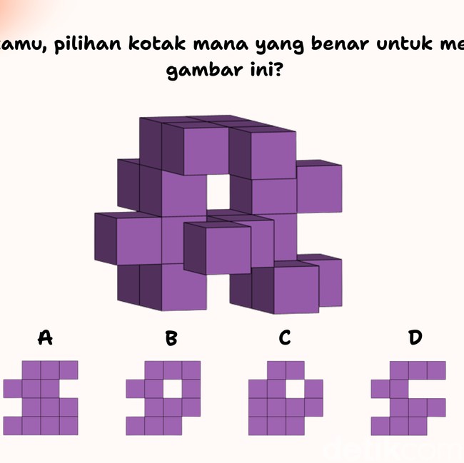 Cuma yang Punya Ketelitian Super Bisa Temukan Kotak yang Pas di Gambar Ini
