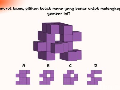 Cuma yang Punya Ketelitian Super Bisa Temukan Kotak yang Pas di Gambar Ini
