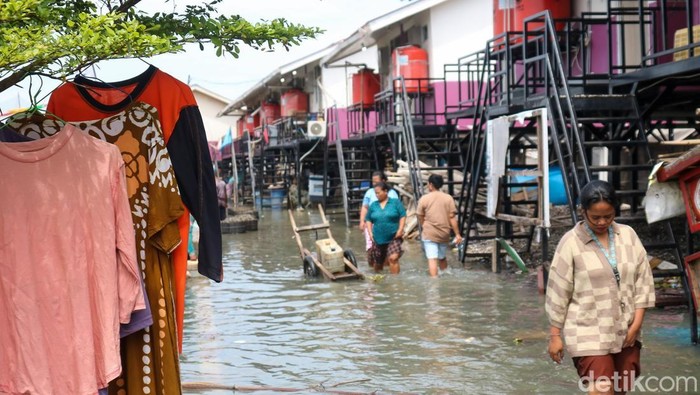 Waspada Banjir Rob hingga 3 Februari, Warga Pesisir Jakarta Diminta Siaga