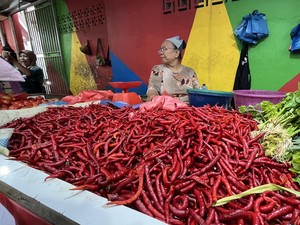 Harga Cabai Merah di Medan Turun, Cuma Rp 30 Ribuan per Kg