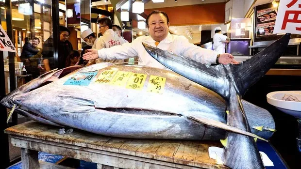 Gokil! Tuna Bluefin Pertama di Tahun 2026 Laku Seharga Rp 54 Miliar