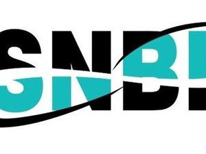 10 Prodi Paling Diminati di SNBP 2026, Referensi Pilih Jurusan Kuliah 2027