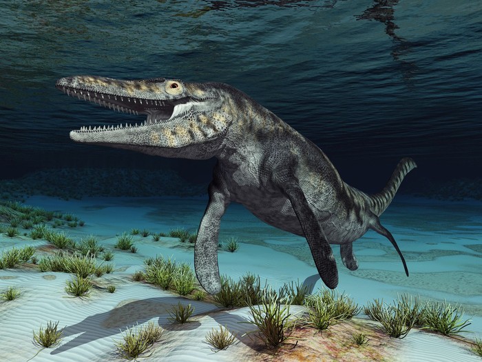 Mosasaurus, reptil laut purba yang jadi predator puncak dan mencari mangsa sampai ke sungai