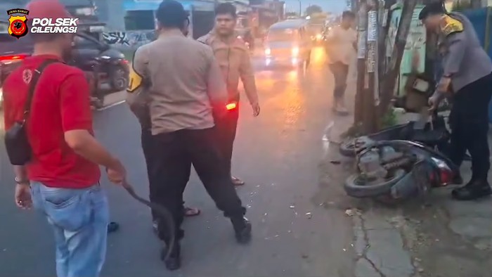 PHL Polres Bogor Sempat Jatuh Ditendang Sebelum 2 Begal Tabrak Tiang