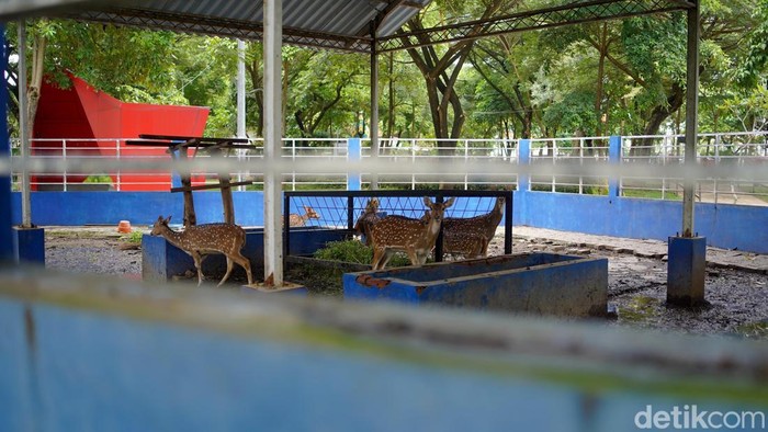 Taman Cahaya Surabaya