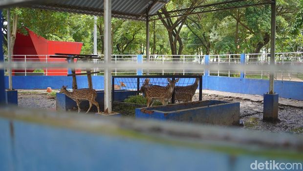 Fasilitas dan daya tarik Taman Cahaya Surabaya