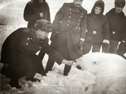 Gila atau Berani? Foto Tentara Soviet Suapi Beruang Kutub Pakai Tangan