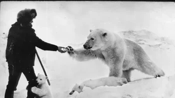 Semenanjung Chukchi terkenal dengan beruang kutubnya. Banyak fotografer pemberani telah melakukan perjalanan ke sana untuk mengambil foto-foto luar biasa dari predator puncak ini, termasuk menduduki bekas stasiun meteorologi Soviet yang mungkin pernah digunakan oleh para tentara. Foto: Peta Pixel