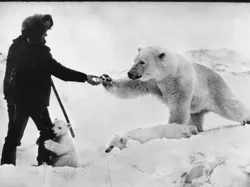 Gila atau Berani? Foto Tentara Soviet Suapi Beruang Kutub Pakai Tangan