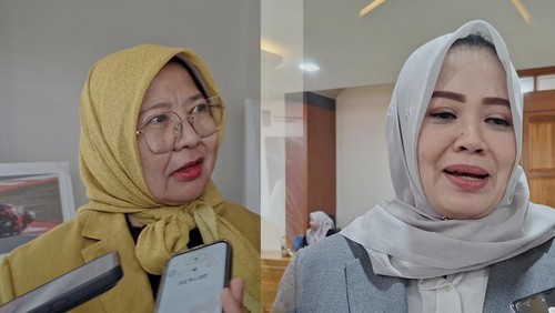 Wakil Gubernur NTB Indah Dhamayanti Putri dan Ketua DPRD NTB Baiq Isvie Rupaeda. (Foto: Ahmad Viqi/detikBali).