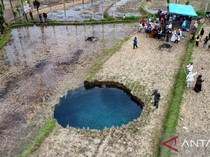 Badan Geologi Turunkan Tim Kaji Kemunculan Sinkhole di Tengah Sawah Sumbar