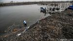 Warga Resah, Limbah Kerang Hijau Menggunung di Cilincing