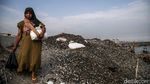 Warga Resah, Limbah Kerang Hijau Menggunung di Cilincing