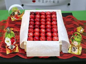 Rekor Baru! Ceri Terjual Rp 192 Juta Per Boks di Jepang