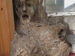 Jangan Scroll Sendirian! Deretan Foto Biasa Tapi Terlihat Seram