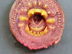 Jangan Scroll Sendirian! Deretan Foto Biasa Tapi Terlihat Seram