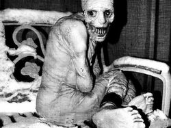 Jangan Scroll Sendirian! Deretan Foto Biasa Tapi Terlihat Seram