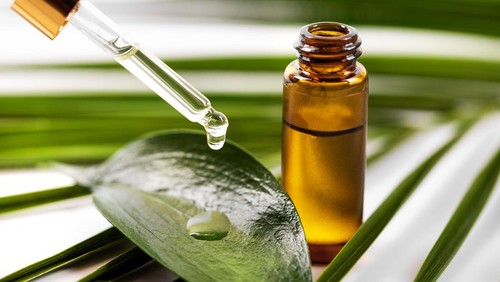 essential oil dripping on the green leaf from pipette