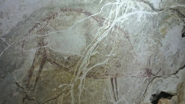 Lukisan bergambar trenggiling yang ditemukan di kawasan Sangkulirang-Mangkalihat. (Dokumentasi Pindi Setiawan)