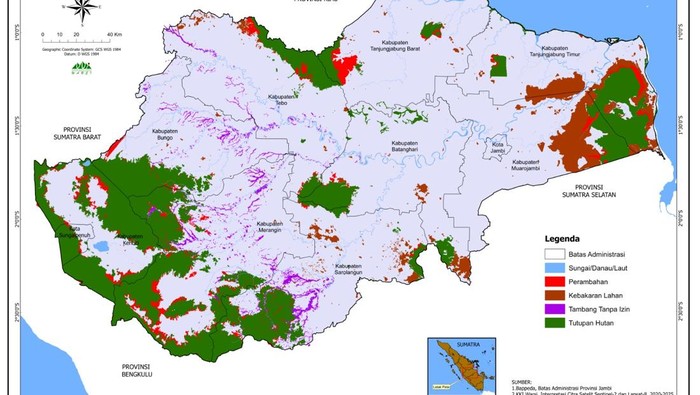 Hutan Jambi Turus Menyusut, Alih Fungsi Lahan-PETI Jadi Biang Kerok