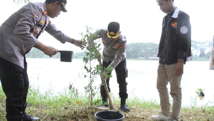 Kolaborasi Mahasiswa dan Polisi Hijaukan Sungai Indragiri demi Cegah Abrasi