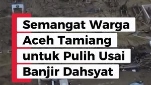 Video: Semangat Warga Aceh Tamiang untuk Pulih Usai Banjir Dahsyat