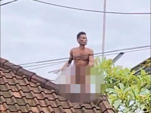 Video: Viral Pria Bugil Ngamuk di Atas Atap Rumah dan Lempari Warga di Bali