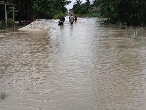 Hujan Deras Rendam Puluhan Rumah di Lampung, Satu RS Rusak