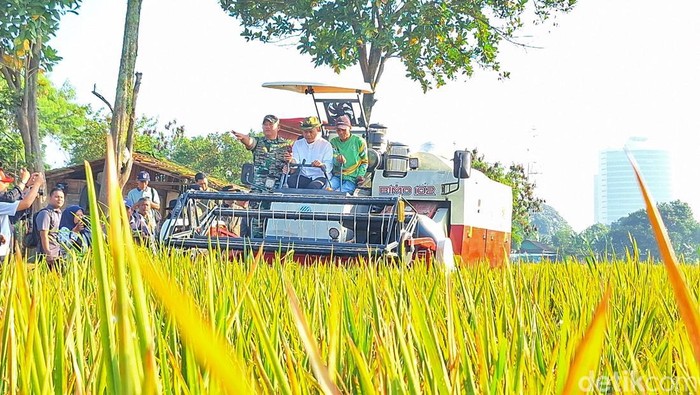 Kabupaten Bandung Targetkan Swasembada Beras dan Telur