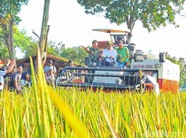 Kabupaten Bandung Targetkan Swasembada Beras dan Telur