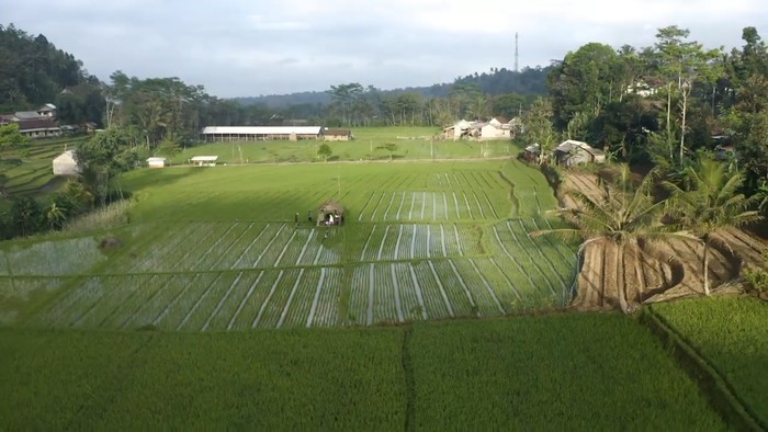 Desa Wisata Semen Blitar, Wisata Alam dan Budaya di Lereng Gunung