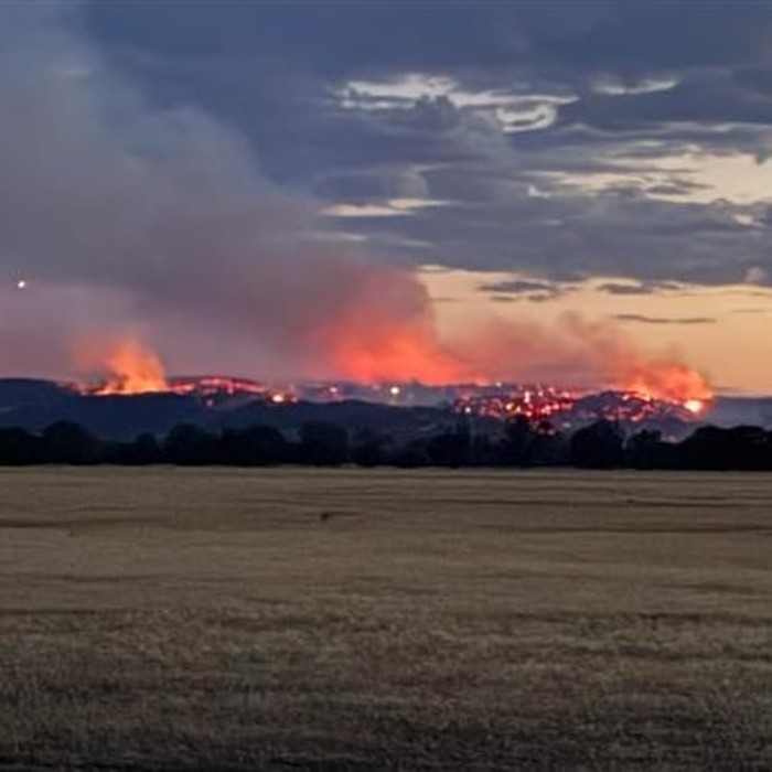 Dunia Hari Ini: Australia Bersiap Hadapi Kebakaran Hutan yang Mengerikan