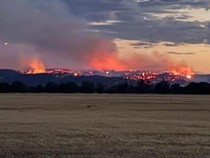 Dunia Hari Ini: Australia Bersiap Hadapi Kebakaran Hutan yang Mengerikan