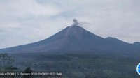 Gunung Semeru 4 Kali Erupsi, Tinggi Letusan Capai 700 Meter