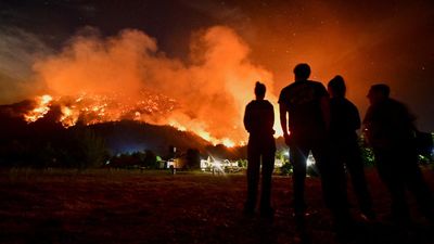 Kebakaran Hutan Hanguskan Ribuan Hektare di Chubut