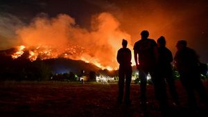 Kebakaran Hutan Hanguskan Ribuan Hektare di Chubut