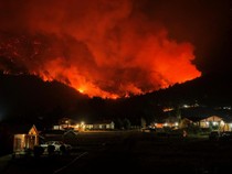 Video: Kebakaran Hutan Terjadi di Chili, 16 Orang Tewas