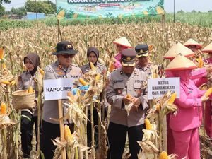 Petani Magetan Panen Raya Jagung Bareng Kapolri via Zoom Meeting