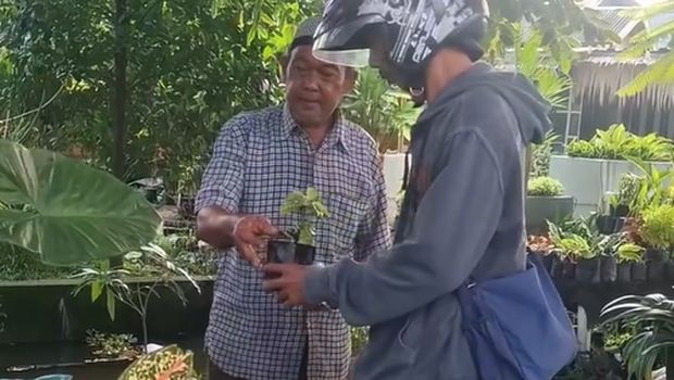 Pemotor lawan arah berujung beli kembang.